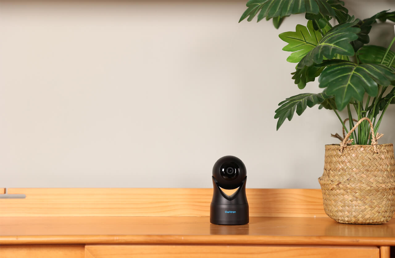 How to Authorize and Deauthorize Your Owltron Camera to Google Home?